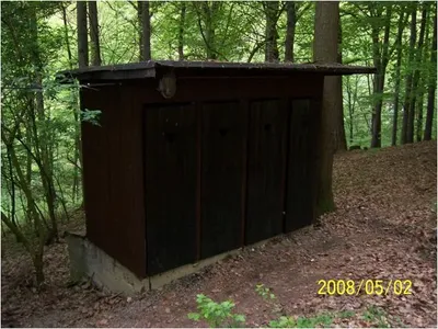 img12.jpg