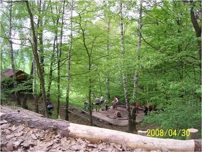 img15.jpg