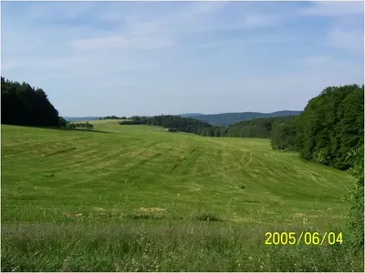 img17.jpg