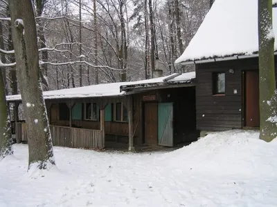 img22.jpg