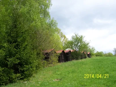 img25.jpg