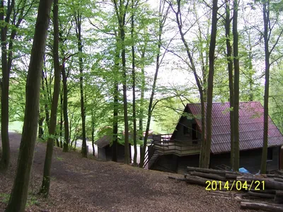 img26.jpg