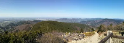 dsc-0623.jpg