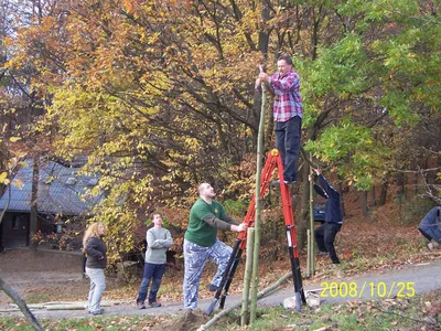 100-6647.jpg