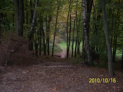 100-9791.jpg