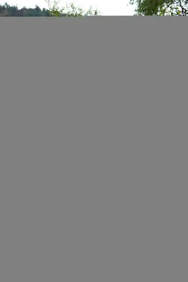 dsc-8120.jpg