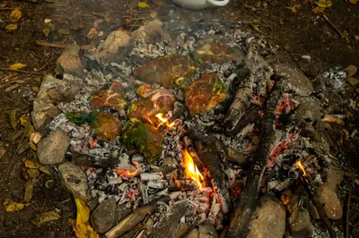 dsc7144.jpg