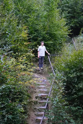 dscf3708.jpg