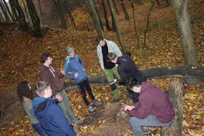 img-3290.jpg