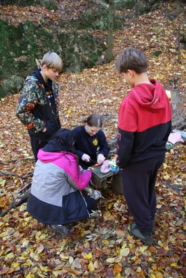 img-3355.jpg