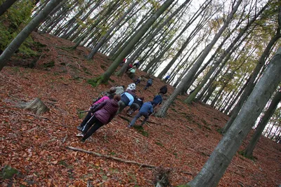 img-3367.jpg