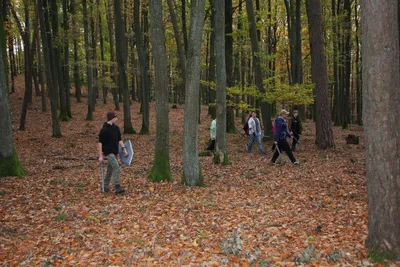 img-3383.jpg