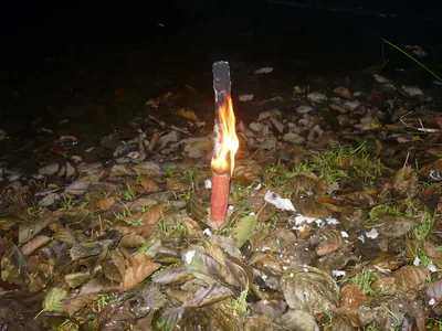 p1020127.jpg