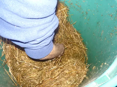 p1020159.jpg