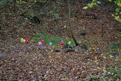 088ncn.jpg