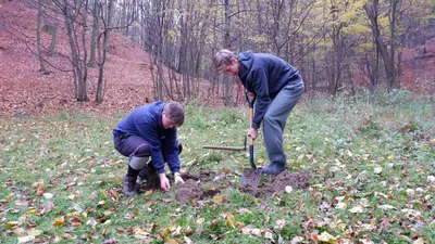 051ncn-1.jpg