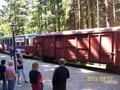 den-1-31.jpg