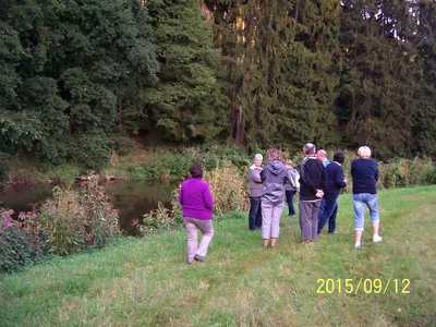 oldskauti-histor-45.jpg