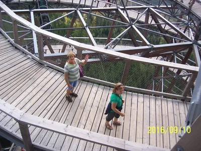 100-8354.jpg