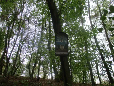img-2678.jpg