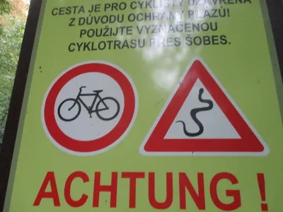 img-2695.jpg