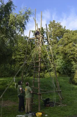 dsc3293.jpg