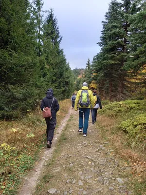 20211023-112409.jpg