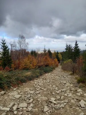 20211023-113630.jpg