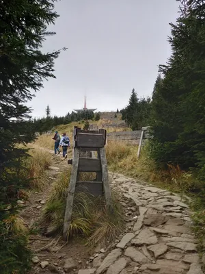 20211023-120101.jpg