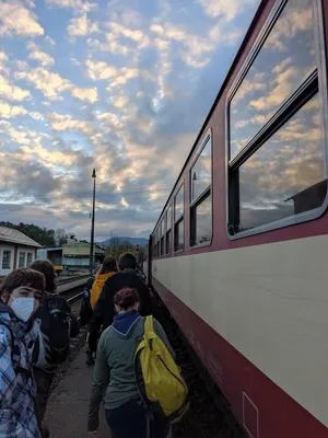 pxl-20211023-055347979.jpg