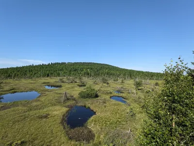 pxl-20230708-070906495.jpg