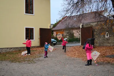 dsc-2008.jpg