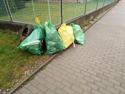 cisty-frystak-43.jpg