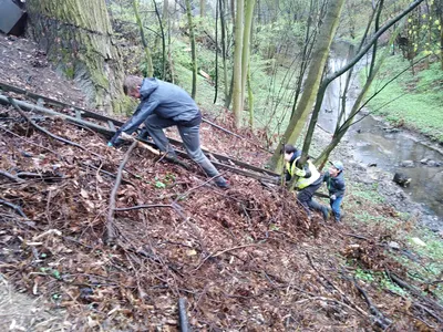 cisty-frystak-51.jpg