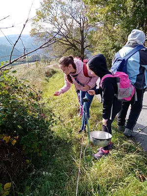 img-20191012-111542.jpg