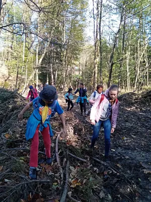 img-20191012-124601.jpg