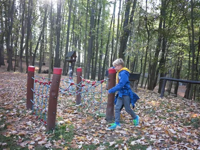 img-0965.jpg