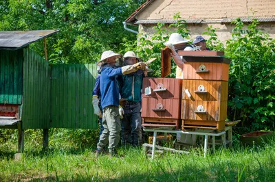 dsc1001-28.jpg