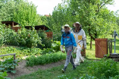 dsc1001-59.jpg