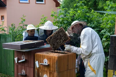 dsc1002-10.jpg