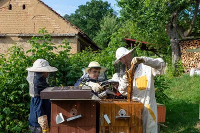 dsc1002-16.jpg