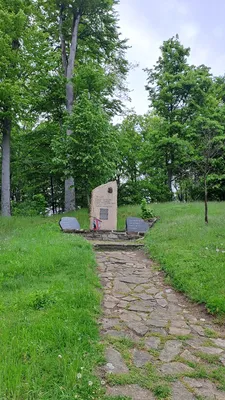 20250517-083008.jpg