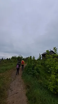 20250517-092832.jpg