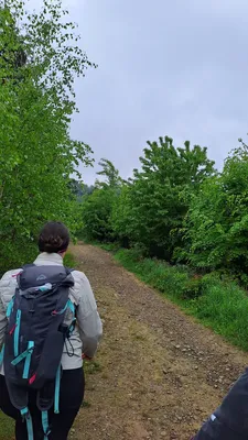 20250517-093541.jpg