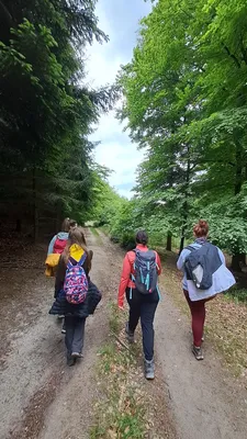 20250517-115337.jpg