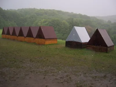 100-1291.jpg