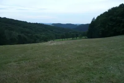 35.jpg
