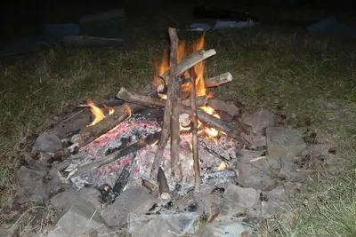 39.jpg