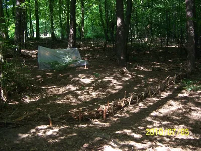 100-9379.jpg