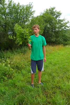 sam-8953.jpg